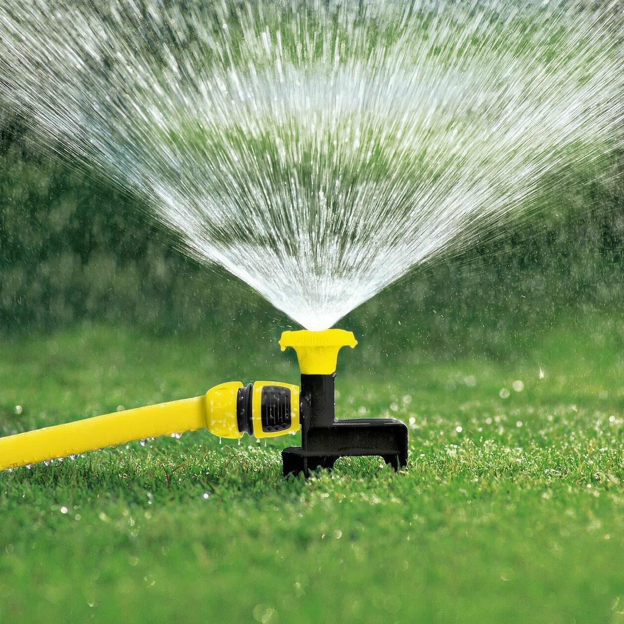 Оргазм кезінде қатты разряд Арық мас қызбен секс видео